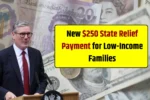 State Relief Payment 2025