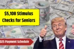 Stimulus Check for Seniors